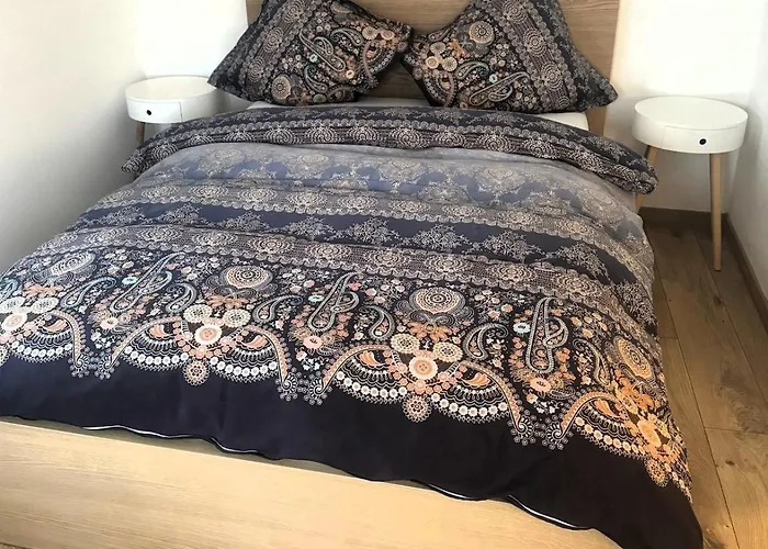 Grosse Neue In Mit Whirlpool Lejlighed Bern